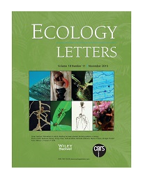 cover_image